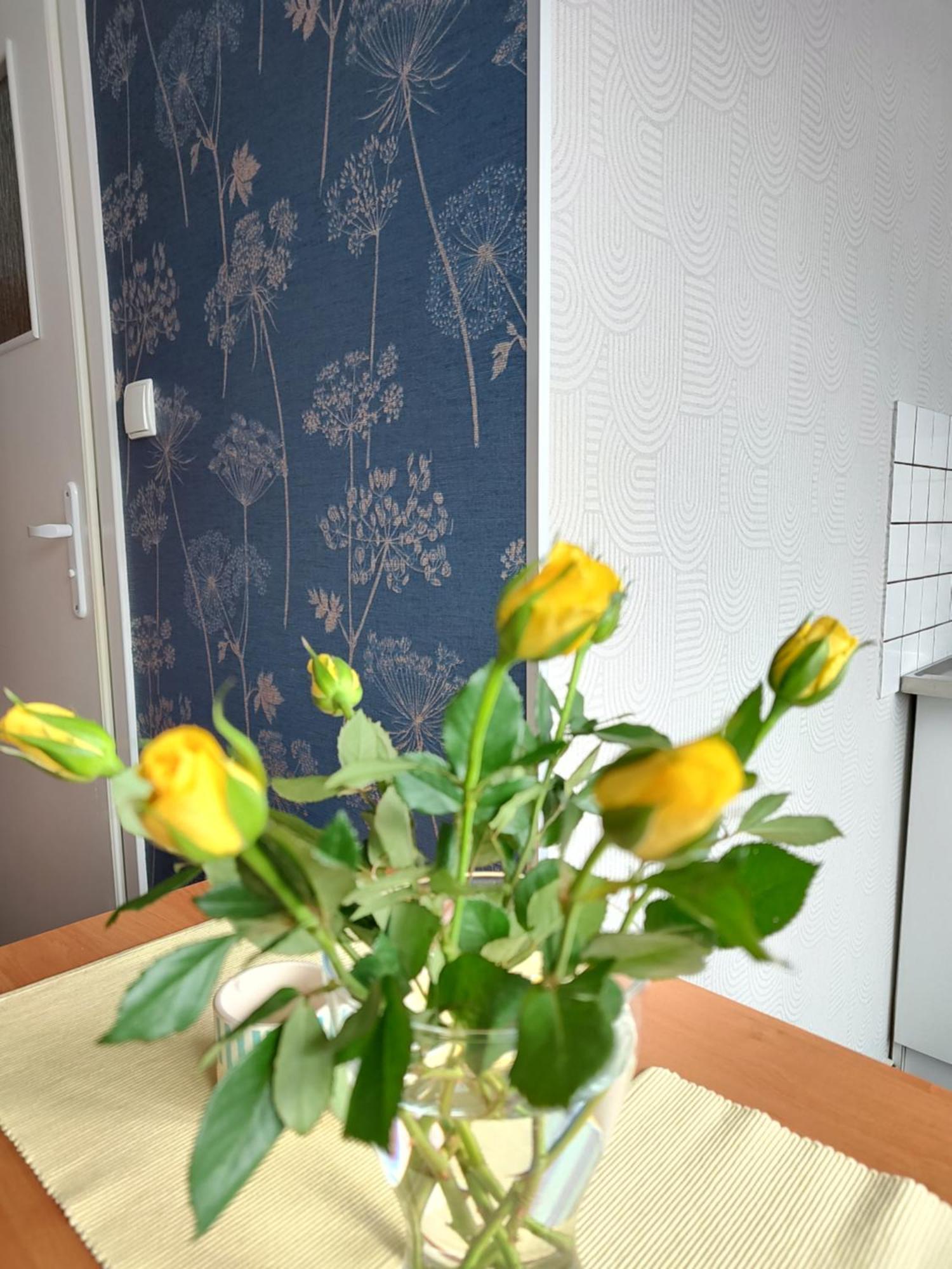 Apartamenty Hejszowina Bad Kudowa Exterior foto